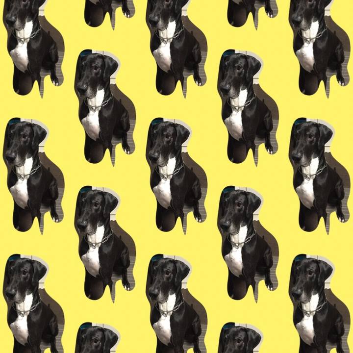 72c95651 f1e0 4cb4 a7a2 ff4ebd16e7fd