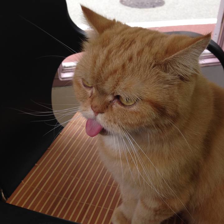 72c9d704 c510 4cbf a9b7 52afcd707a3c