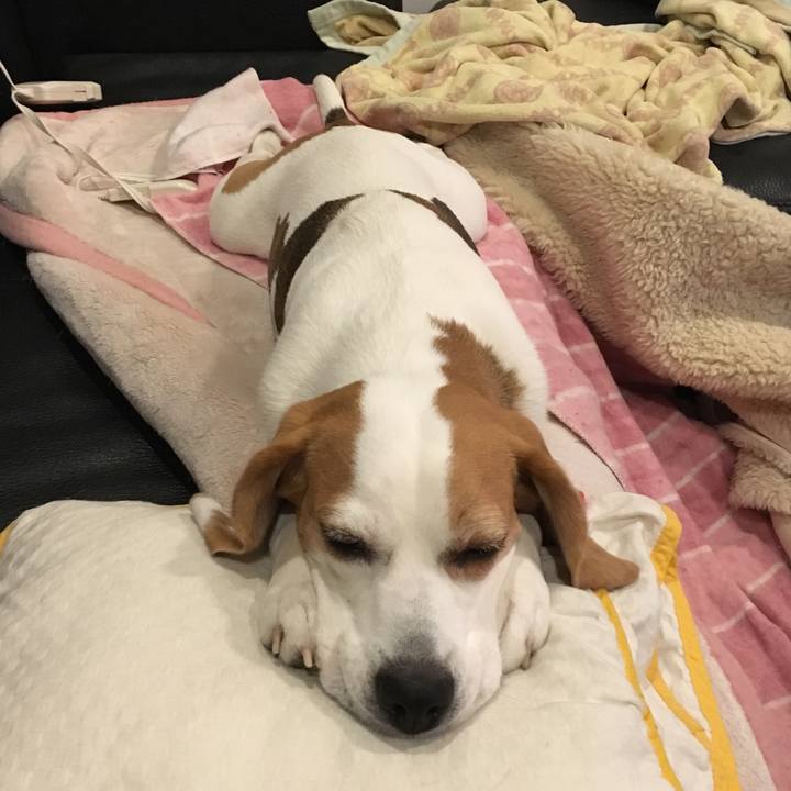 72ca8800 90a9 4b87 9691 cb66e6290c06