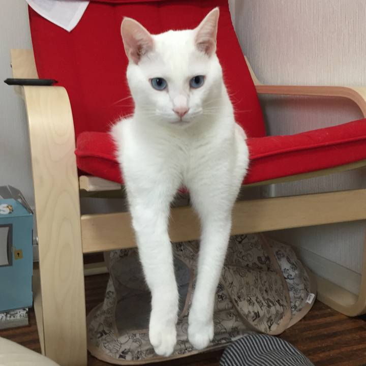 72cadc53 4aeb 4026 828b e0135af8ccfa