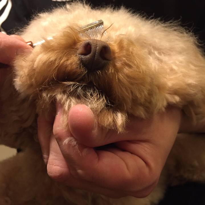 72cbd141 c983 49ed 8447 7a0ac54a0e57