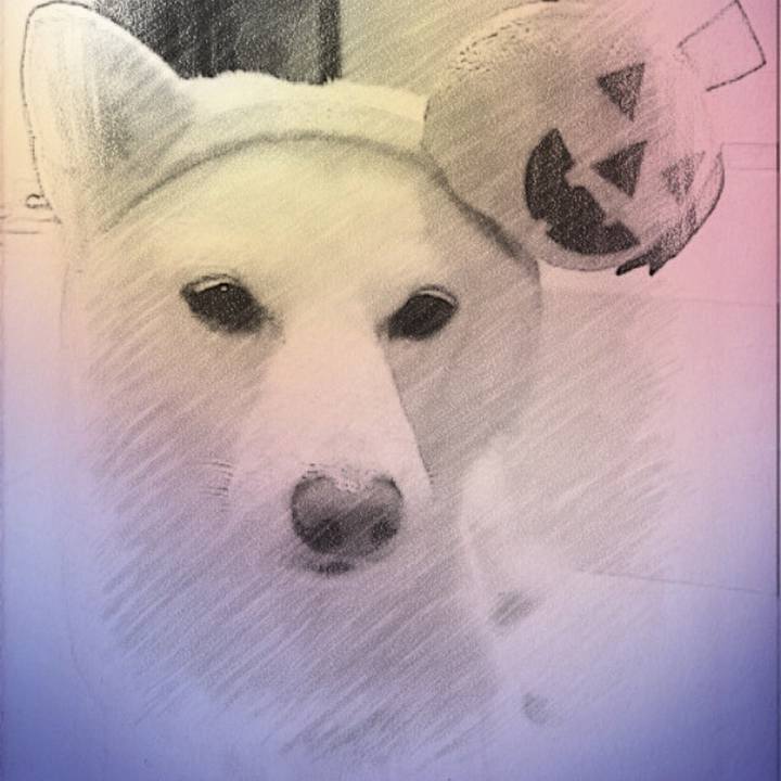 72cc4748 198e 4631 9962 5100bc71fd7b