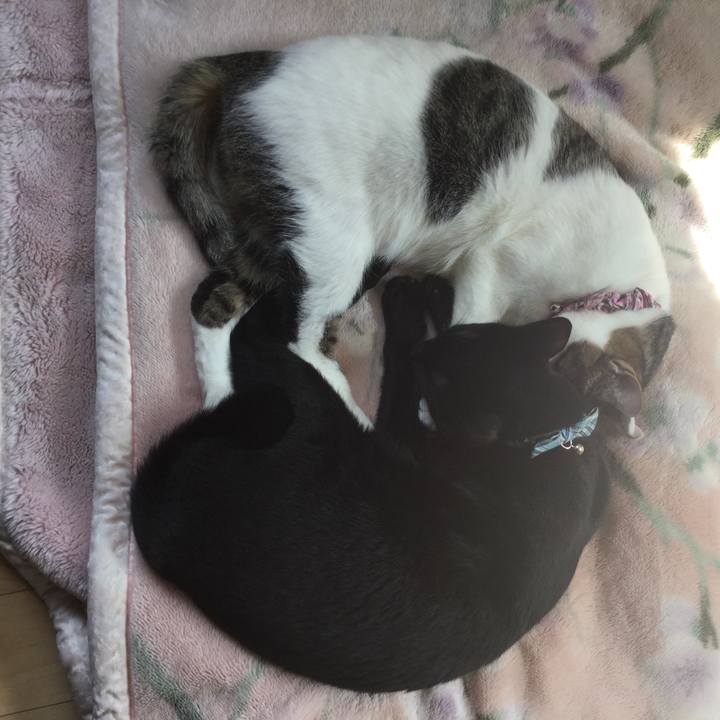 72cc7198 cd24 4fe0 bfff 5c6c043d1e53