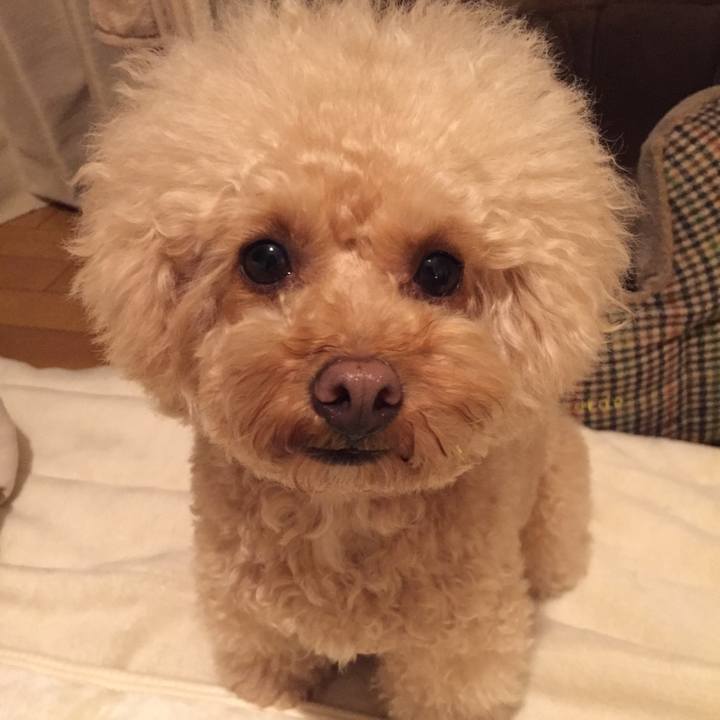 72cce31f 640f 412f bd3f b78a42cd4b51