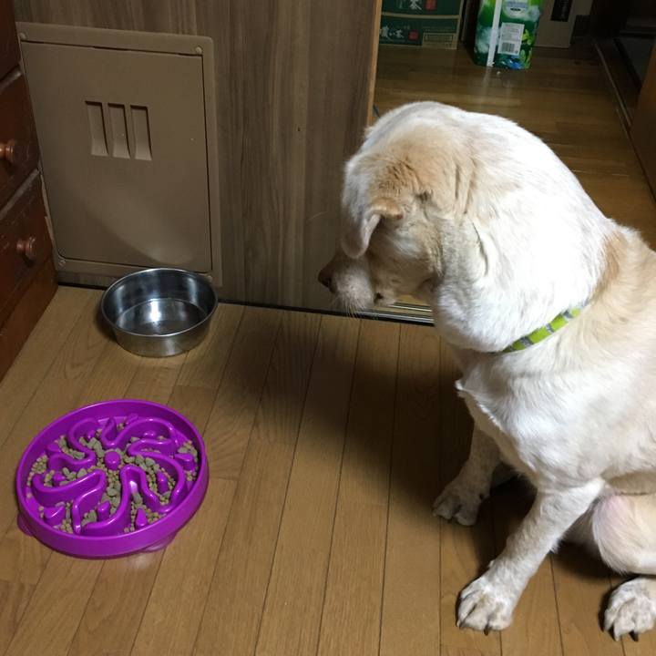 72ccff62 b65c 4a70 9d86 18b2dae7e9b9