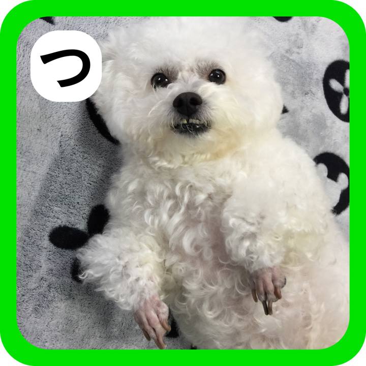 72cd1209 40ae 43df bd7e 70757569d508