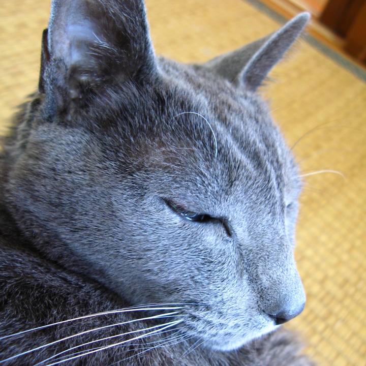 72cd44fc b726 49ba a33d 7efc86abc08e