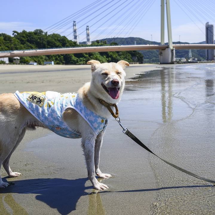 72cd8ddf 20ce 487b a0f3 55bd79adc985