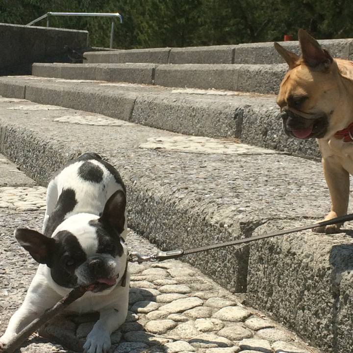 72cda8a7 4080 4098 aaf2 ca769c539c0b