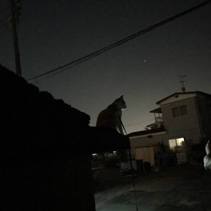 72cdd0ad d5aa 4691 8eb8 1a387935db82