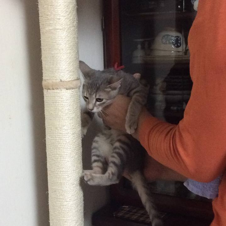 72cdd66c c136 412d 98b0 8f754e05d6a9