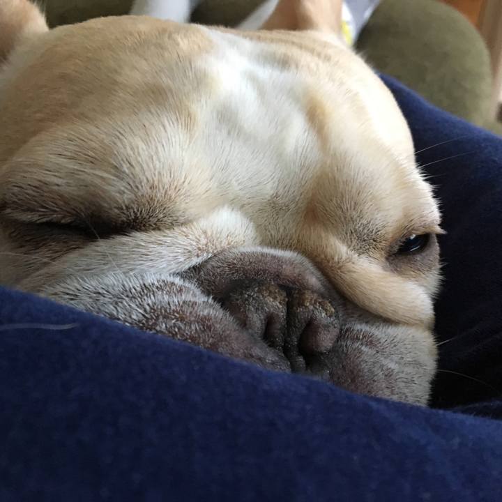 72ceedae 39c1 4210 ab57 0eed1dabb7e2