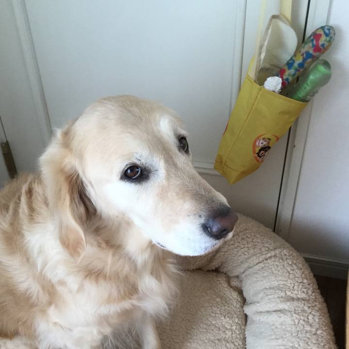 72cf79f3 418d 41b6 82b4 59925079c542