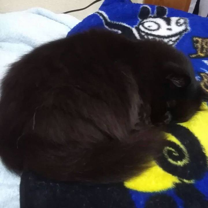 72cfe2c2 1ada 40bc 908b 5546858cd1bb