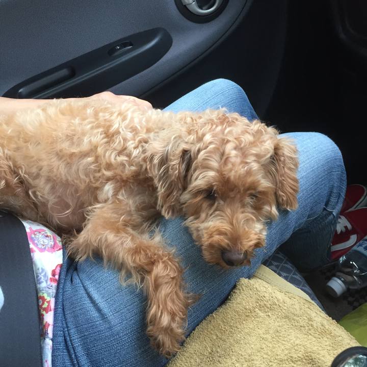 72d04532 0724 4b60 af32 e81604c3eedd