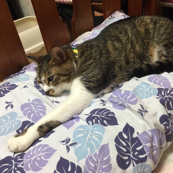 72d0ecd0 f158 41b1 911f fdc57bdb9ebe