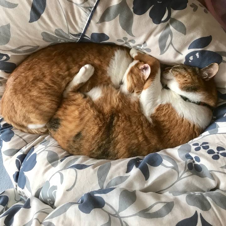 72d113f6 e9a7 44b8 b465 d0fc273e2ec8