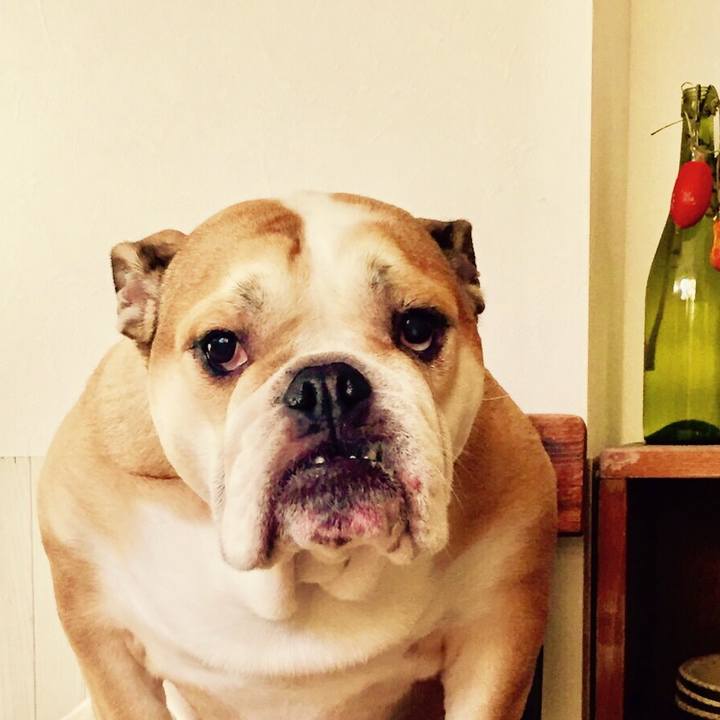 72d13c98 ecaa 4c23 86a7 daa11e6e1dc1