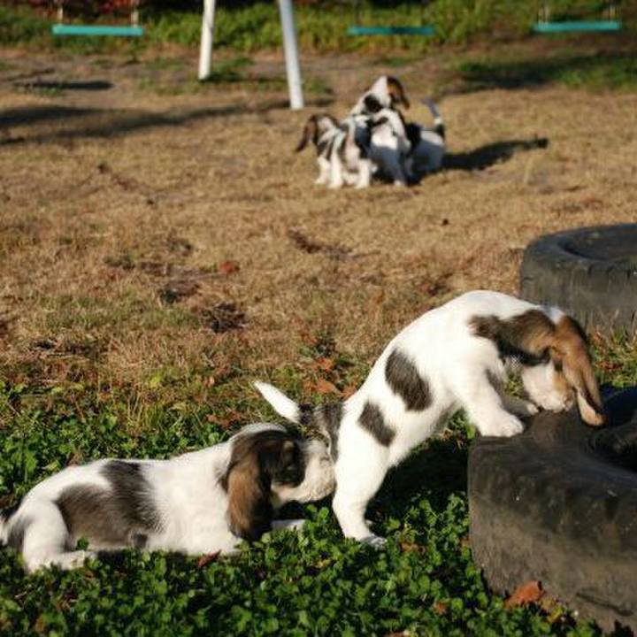 72d191c3 b06c 45aa 919d 2a6f74388131