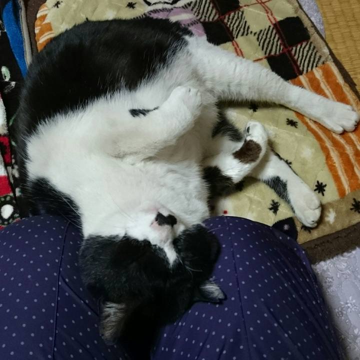 72d24a21 1758 40ac aede 0e9d2224cd2b