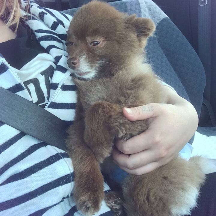 72d24a3b dad6 4ab5 ac93 52e656544598