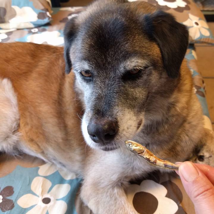 72d28535 5d92 4dec b99b b9a8406926b0