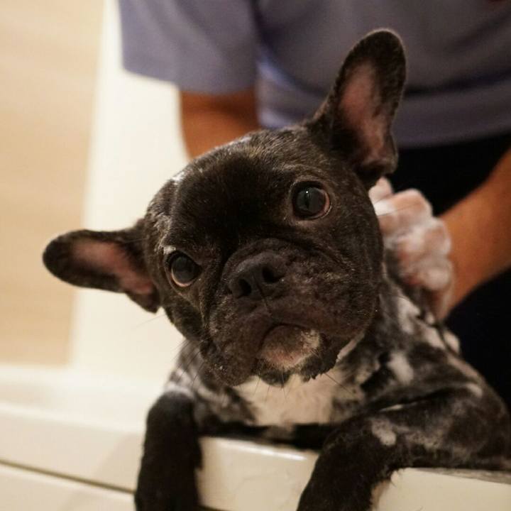 72d32420 1a8d 4418 9cf7 942d963f49fa