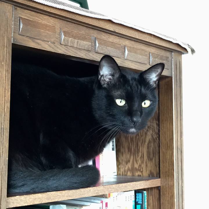 72d325df e5e1 42ee ba4f d968b2357b3a