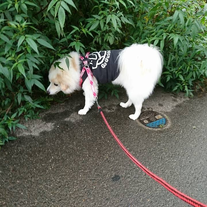 72d36a00 ecf6 4ebd b55c a7558eefa7f0