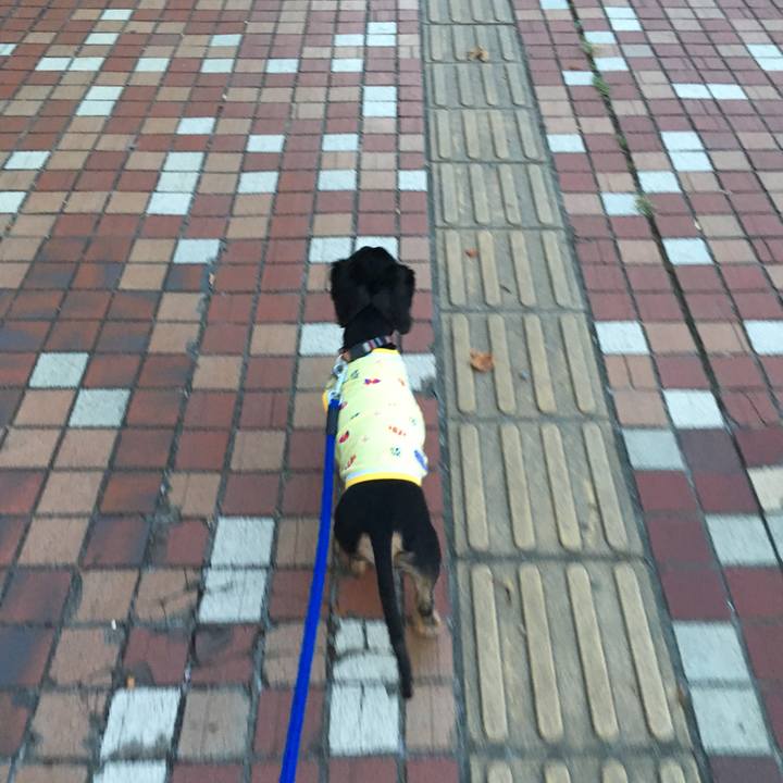 72d37cac 523f 4efb a5d7 0b89a52b11da