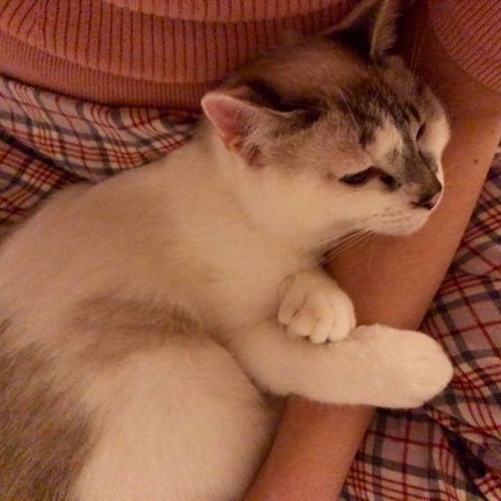 72d48c2d 360a 4345 9471 882674b6fb85