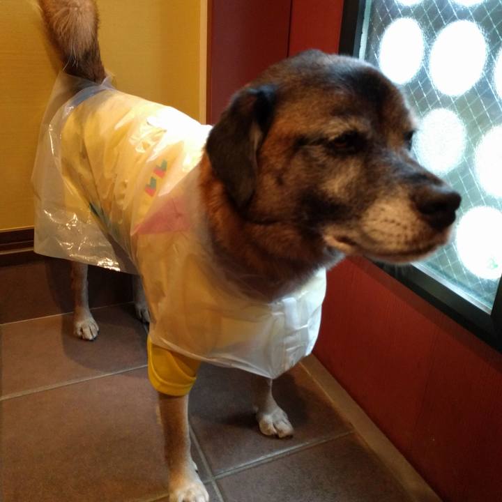 72d4bff3 0800 4268 9b33 bad4da938648