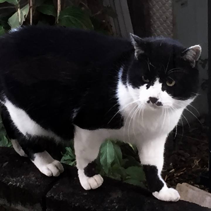 72d52aeb fee8 4338 9bb9 50f8826e2867