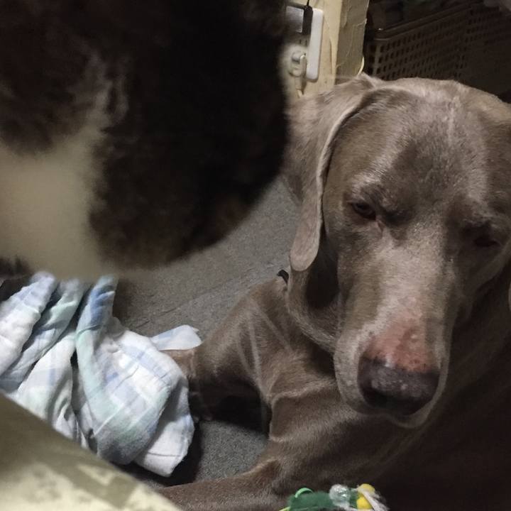 72d52d3a 80ec 4c64 8345 b174b2069f1f