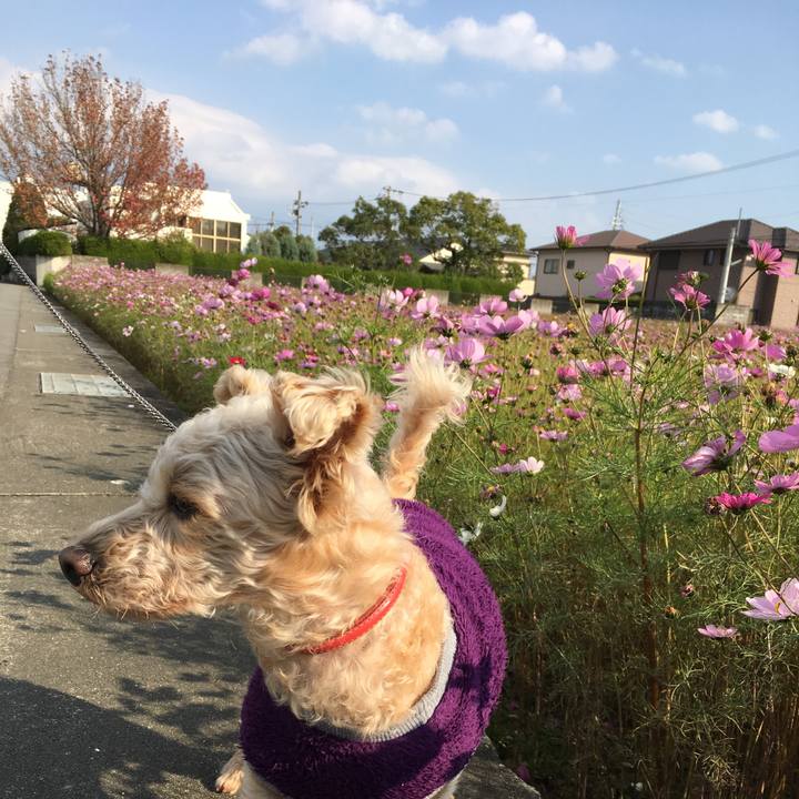 72d53aaa 9fb8 4940 92a0 035cbf11ae07