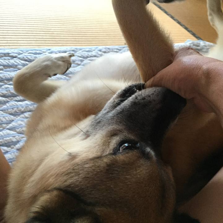 72d56272 a951 4443 94c8 563c92dff101