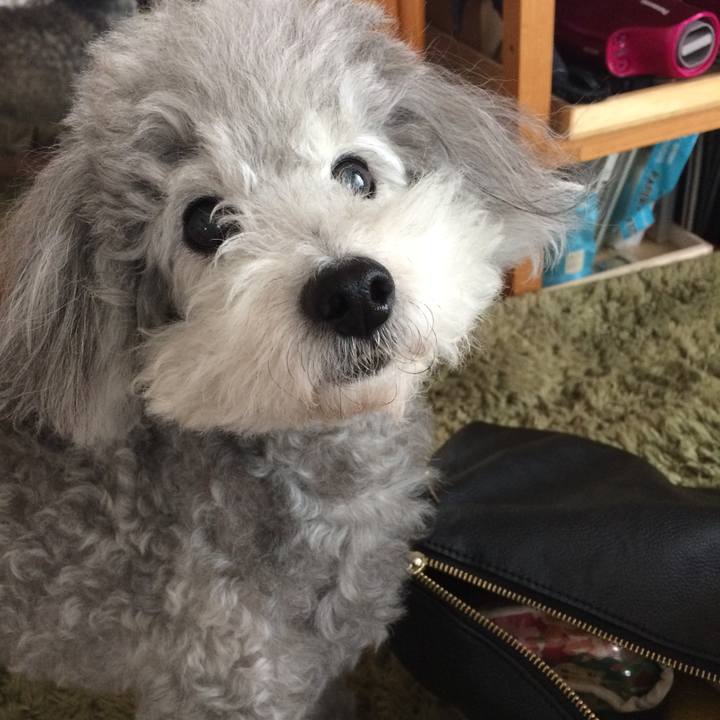 72d57ba7 5bcd 4e4c a239 2134585cba71