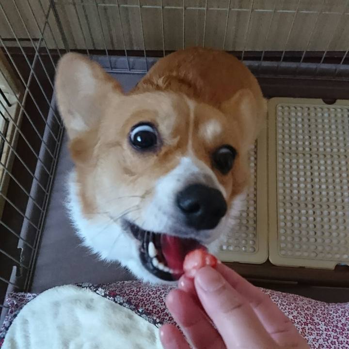 72d619f2 f670 4b15 a163 9881dc88a7e8