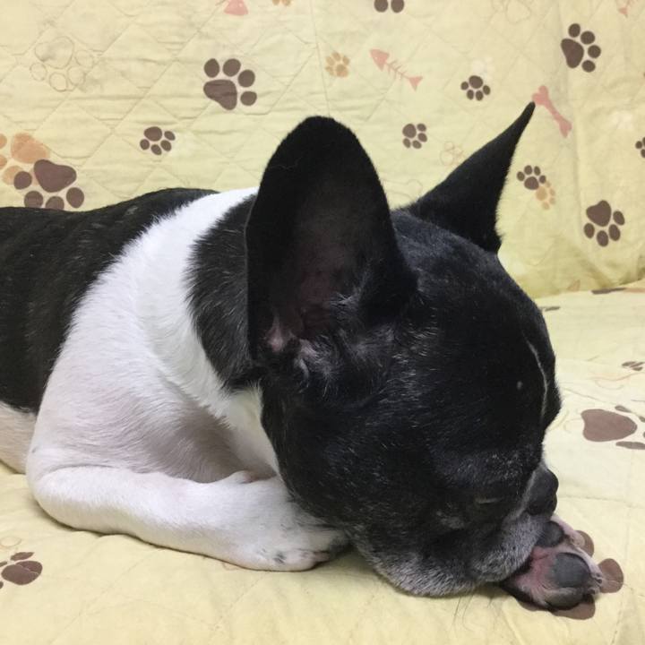 72d65c6a 2939 4a22 a023 26f0fef65c59