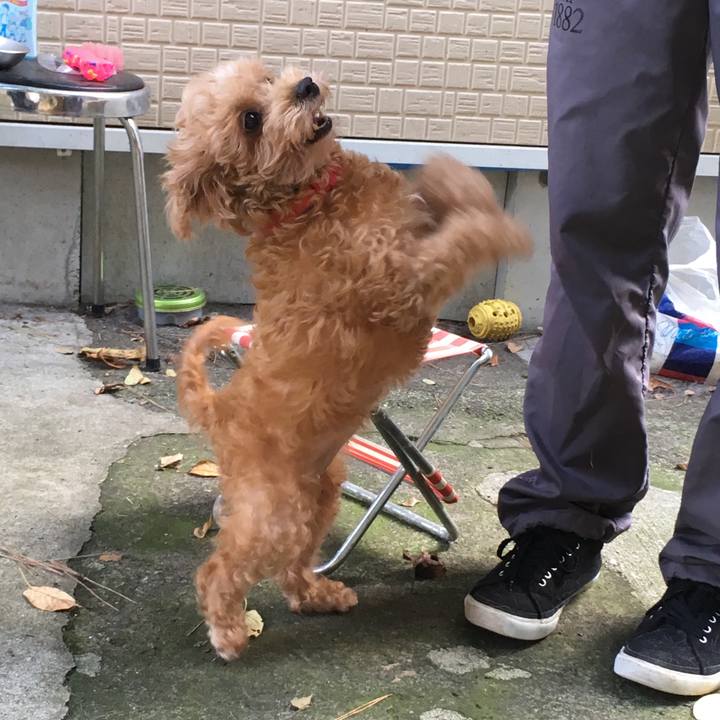 72d6ff8b 5902 4991 85cb aadbcd55cc7a