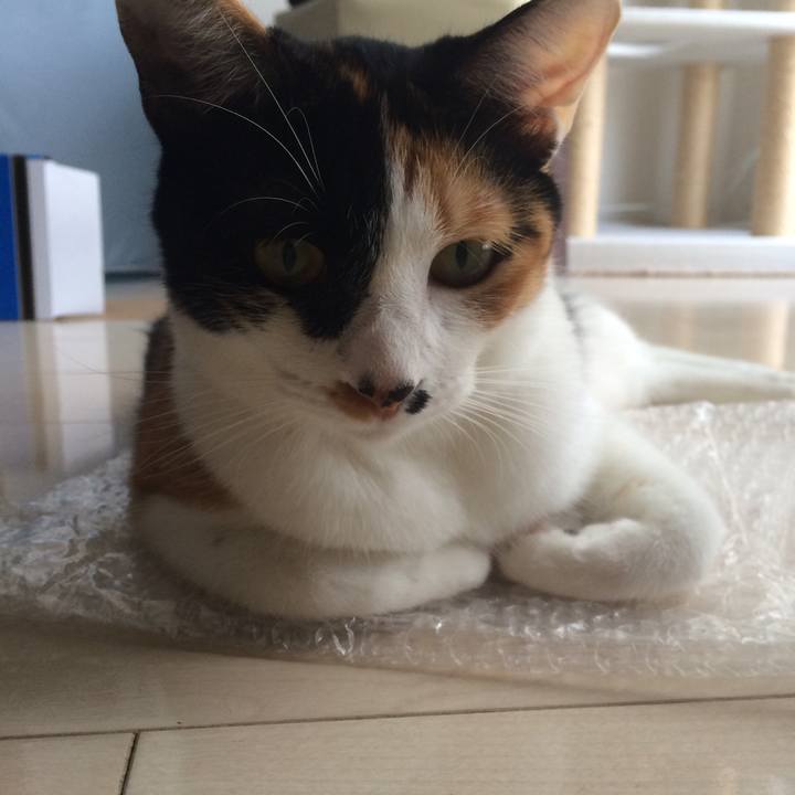 72d78875 ea78 4100 a292 b2b9663925f7