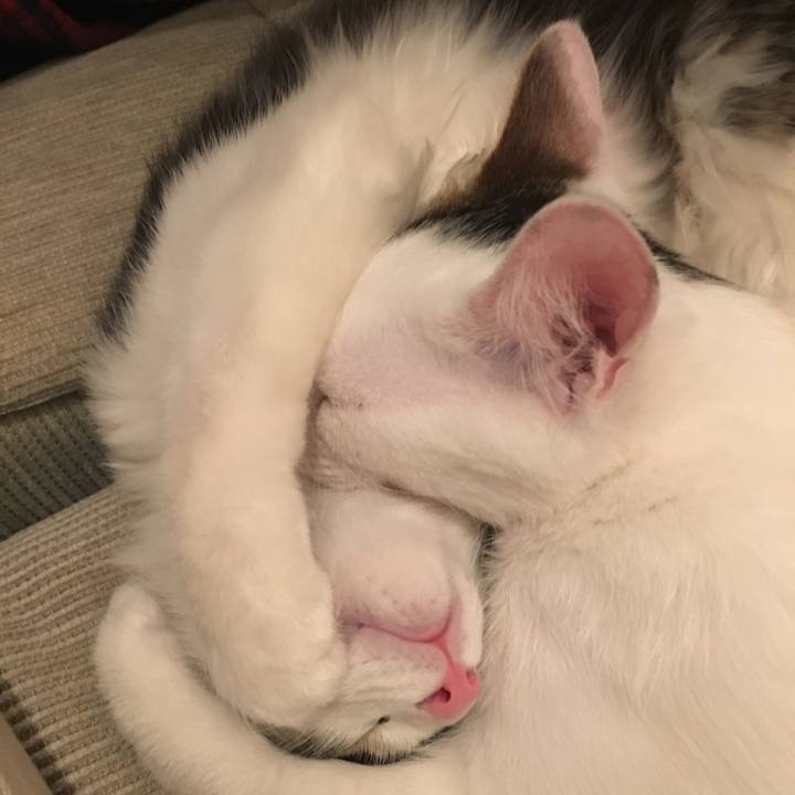 72d8a4ac d3f3 436a 8b54 8fffa5ad1b03