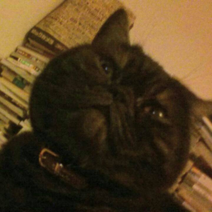 72d93f85 b682 483e b276 2ae67c073756