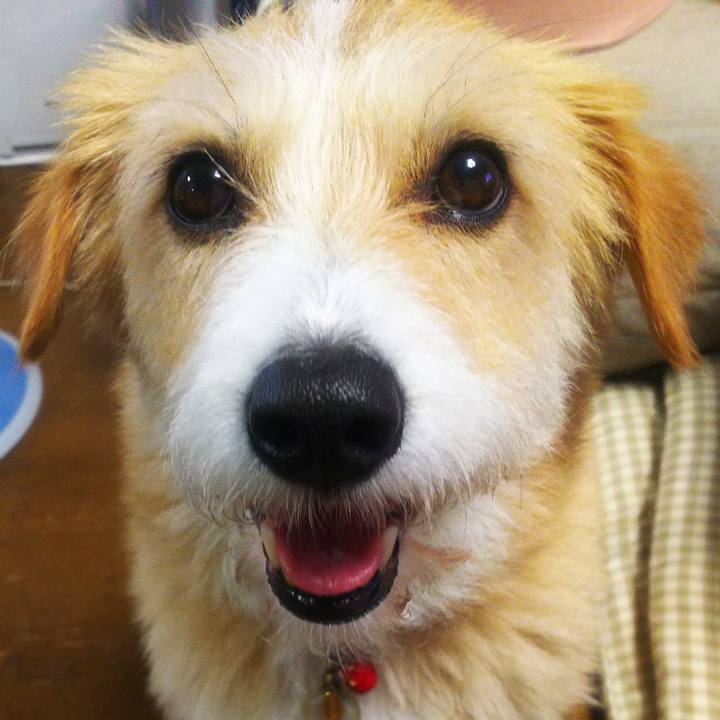 72d976ef dae7 4e06 a263 3b09e44cd382