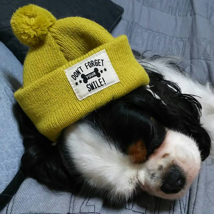 72da0557 57cc 44f9 82f4 6ddc378d3f7c