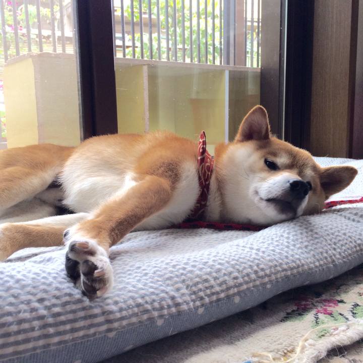 72da2c95 e8ee 4a5d 986d 2433d19286a8