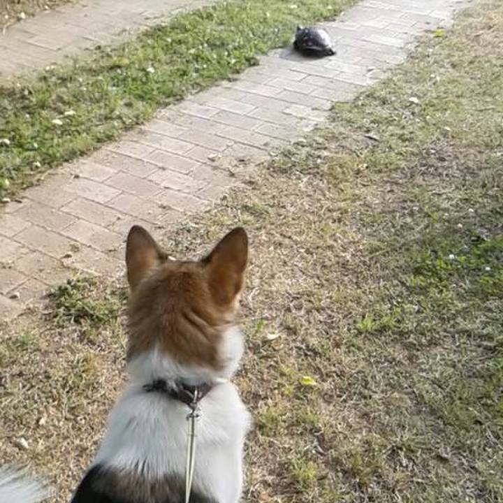 72da2f94 82df 41b5 b166 6ffd2ef01502