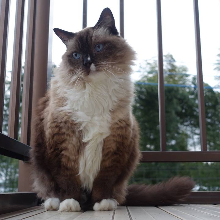 72da90a1 9e60 4eb8 9531 59570664b607