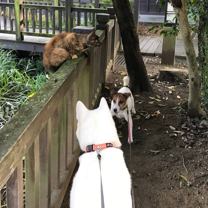 72dacd1d 4251 4e79 846e 7be1b537ddb6