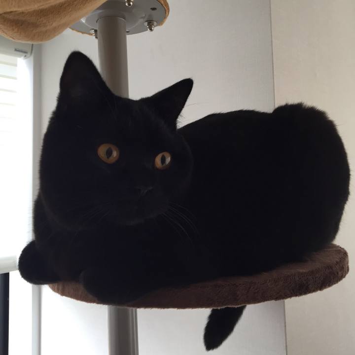 72db3f18 c6b4 4055 b7c6 96b8770e70e8